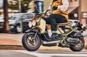 Honda_Ruckus_2025