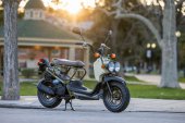 Honda_Ruckus_2025