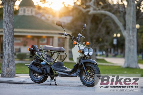 Honda Ruckus