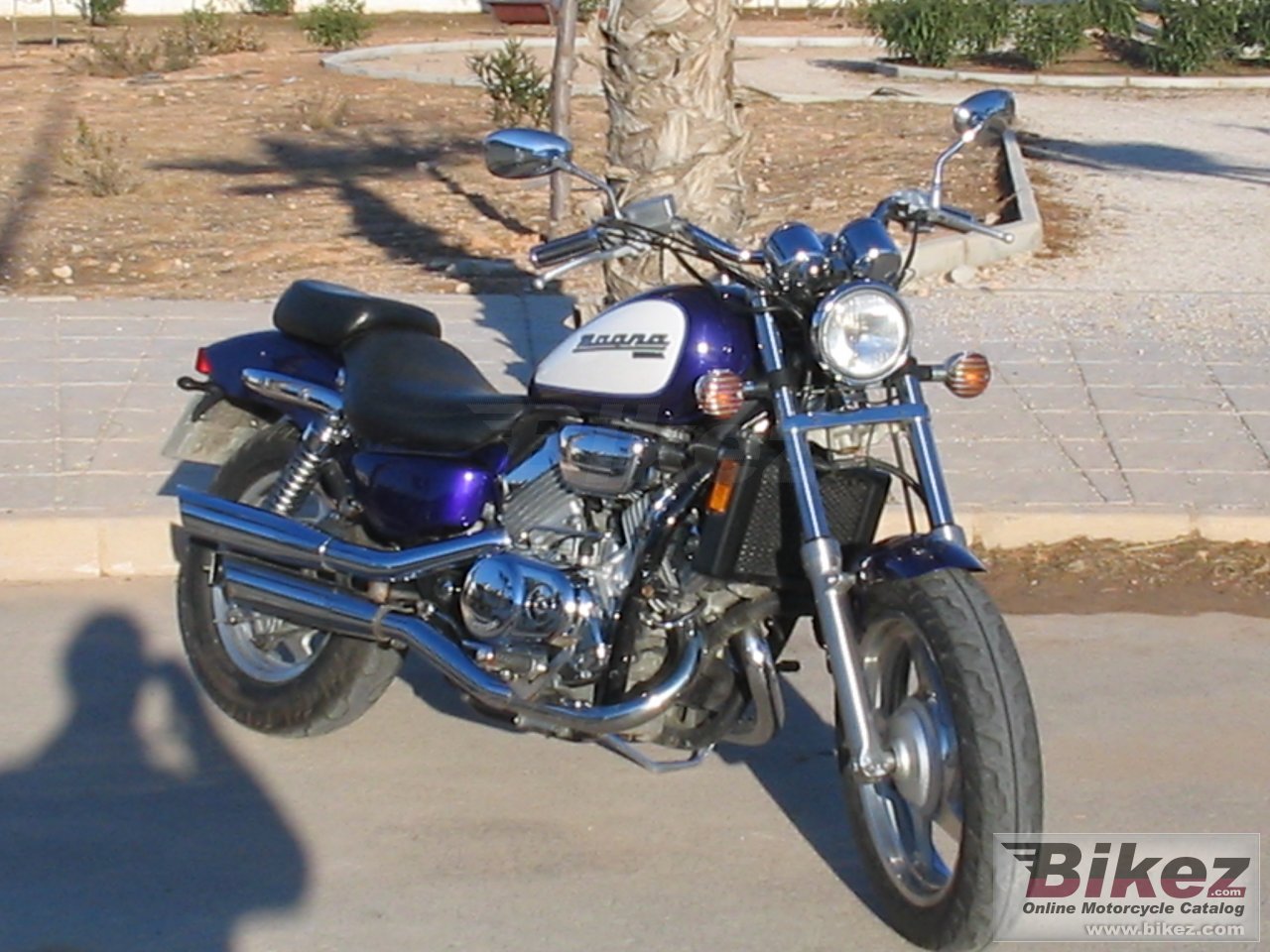 Honda VF 750 C Shadow