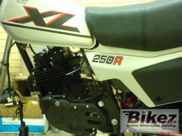 Honda XL 250 R