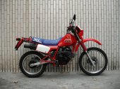Honda_XL_350_R_1986