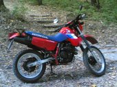Honda_XL_600_RM_1986