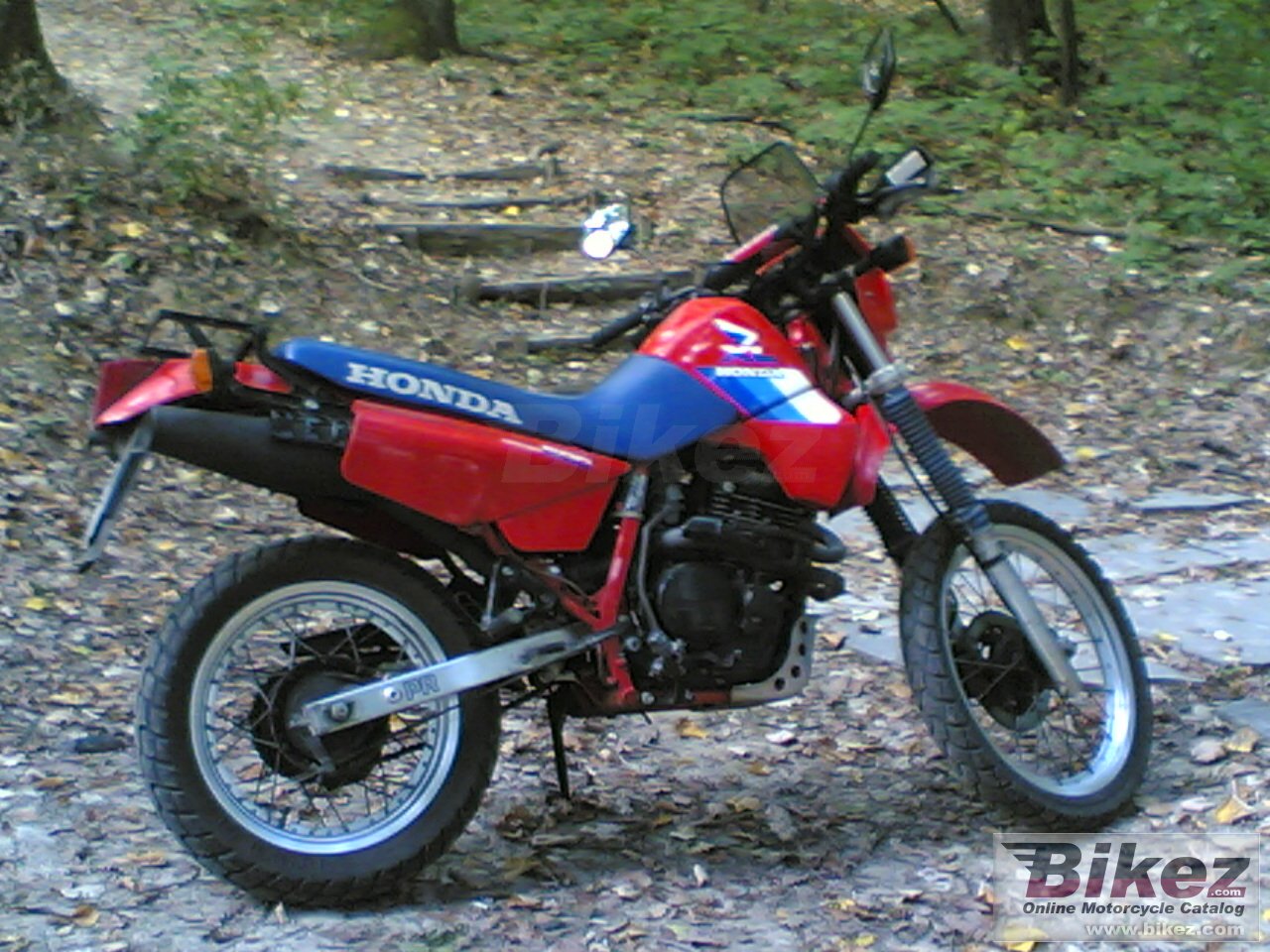 Honda XL 600 RM