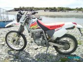 Honda_XR_250_Baja_2002