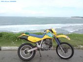 Honda_XR_600_R_1991