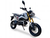 Ice Bear Rogue Adv 125