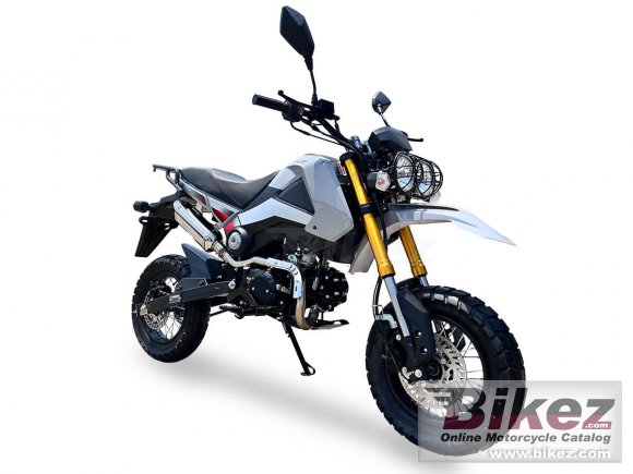 Ice Bear Rogue Adv 125