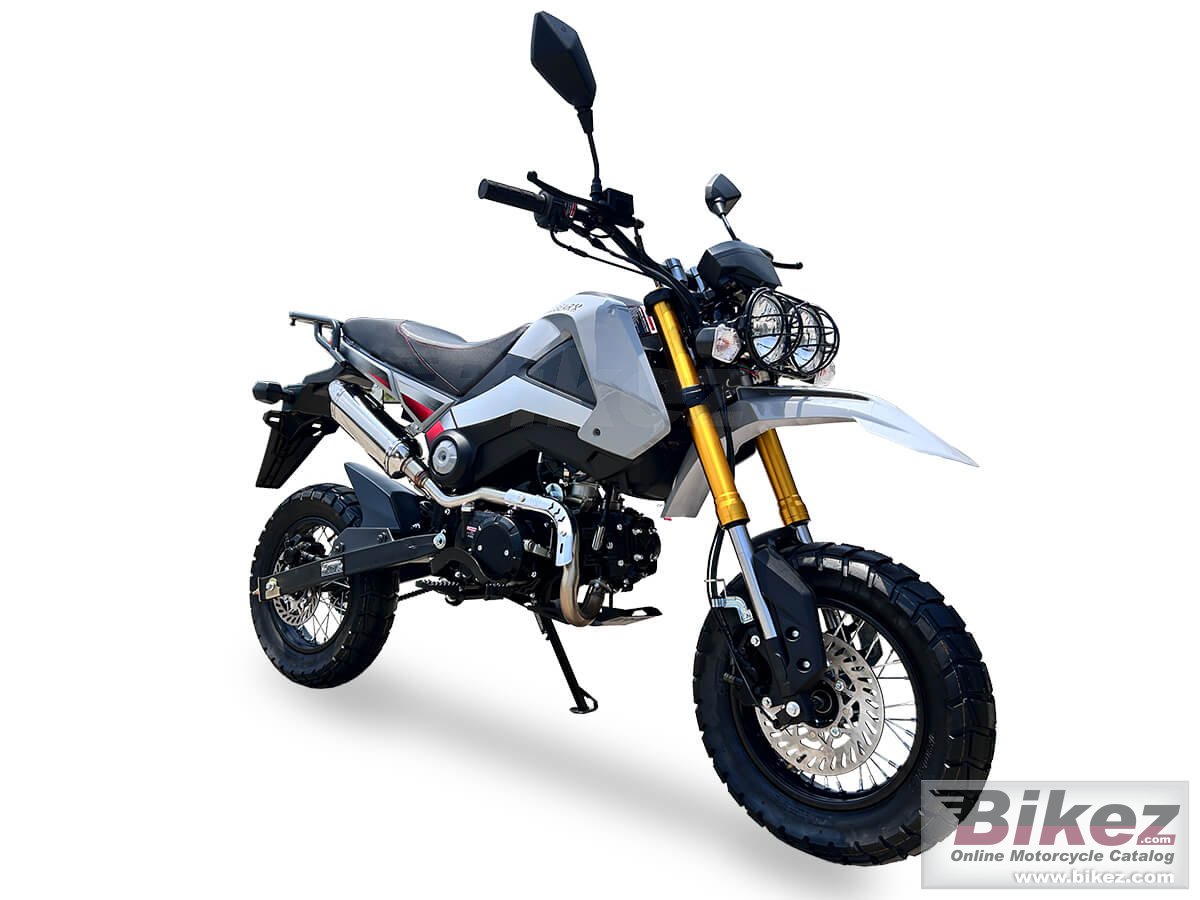 Ice Bear Rogue Adv 125