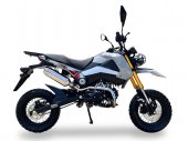 Ice Bear Rogue Adv 125