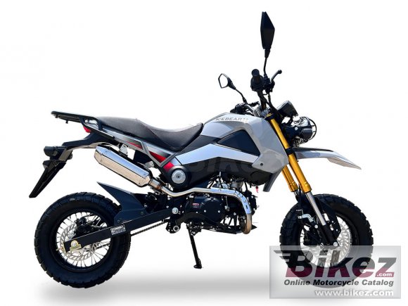 Ice Bear Rogue Adv 125