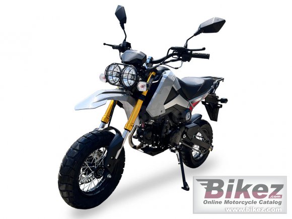 Ice Bear Rogue Adv 125