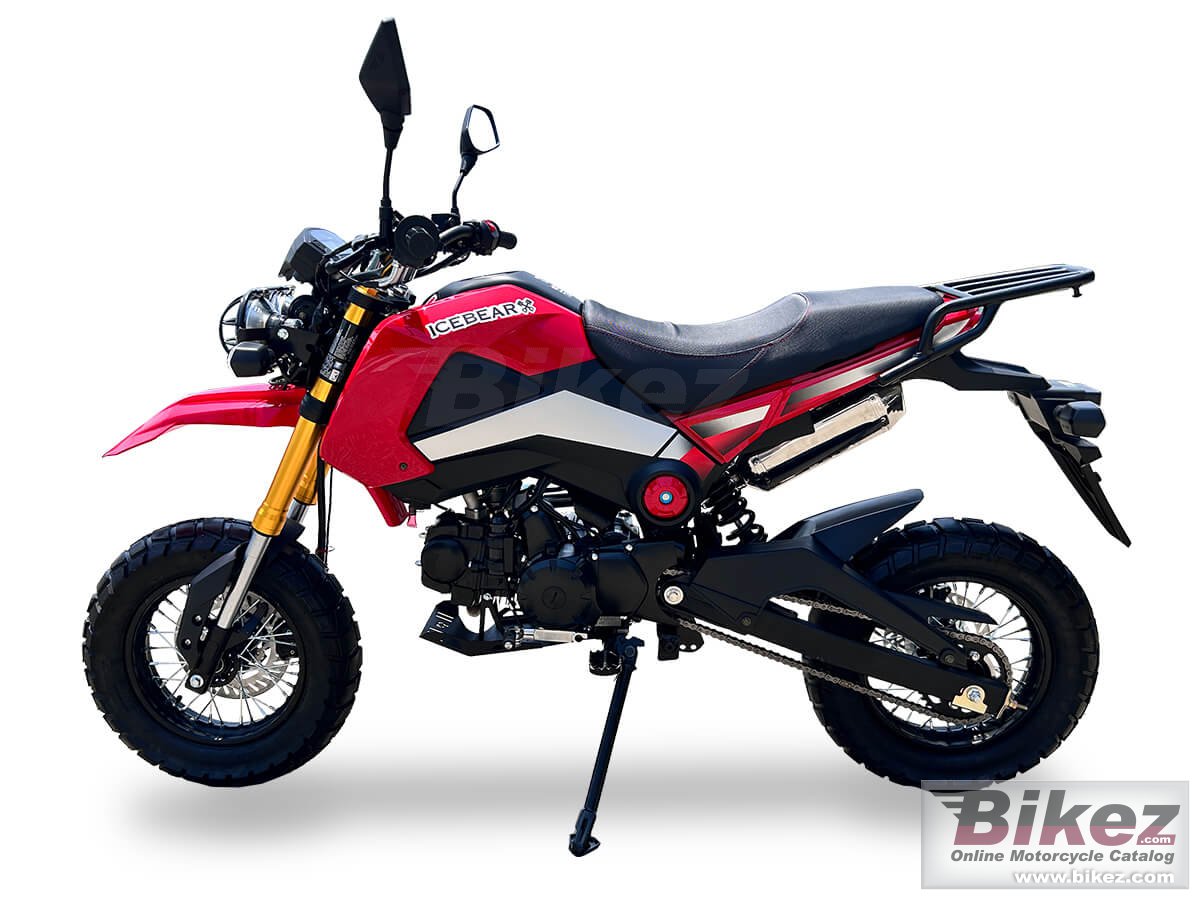 Ice Bear Rogue Adv 125