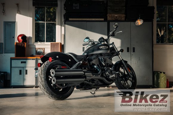 Indian Chief Dark Horse