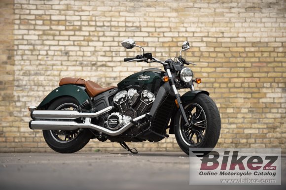 Indian Scout 