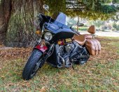 Indian_Scout__2019