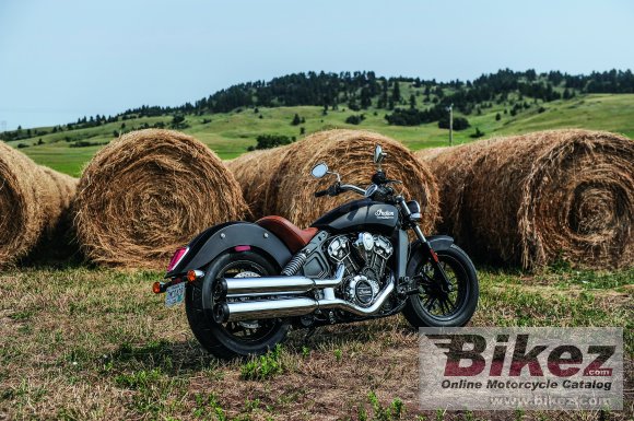 Indian Scout