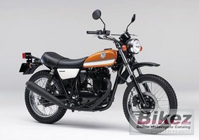 Kawasaki 250TR