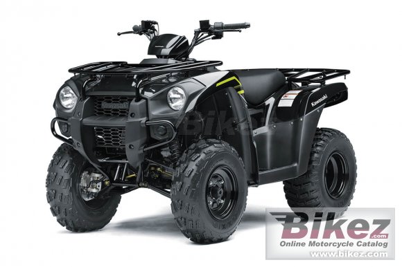 Kawasaki Brute Force 300