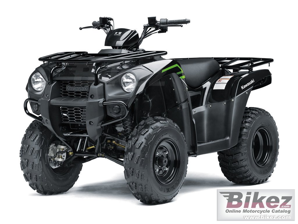 Kawasaki Brute Force 300