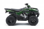 Kawasaki Brute Force 300