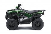Kawasaki Brute Force 300