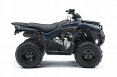 Kawasaki Brute Force 300