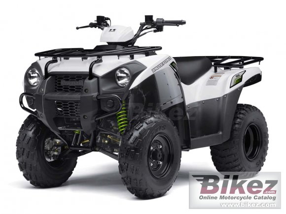 Kawasaki Brute Force  300