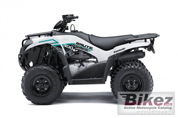 Kawasaki Brute Force 300