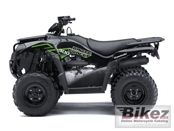 Kawasaki Brute Force 300