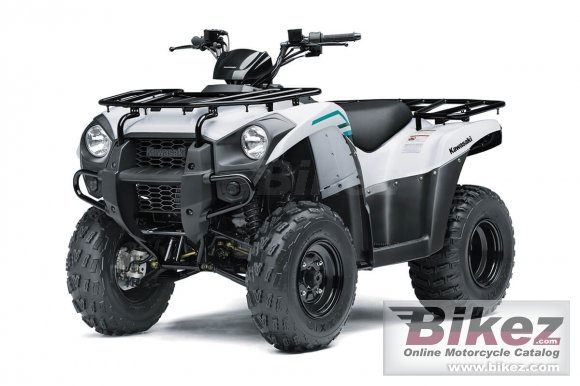 Kawasaki Brute Force 300