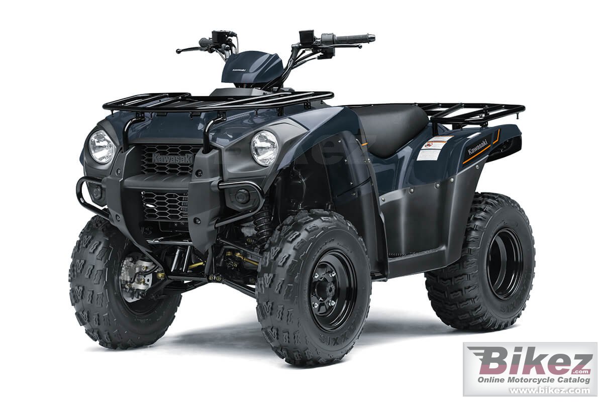 Kawasaki Brute Force 300