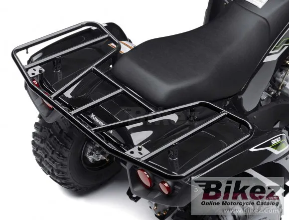 Kawasaki Brute Force 300