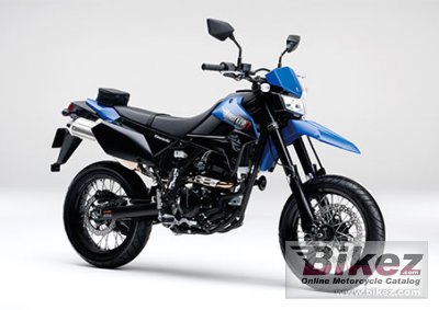 Kawasaki D-Tracker X Final Edition