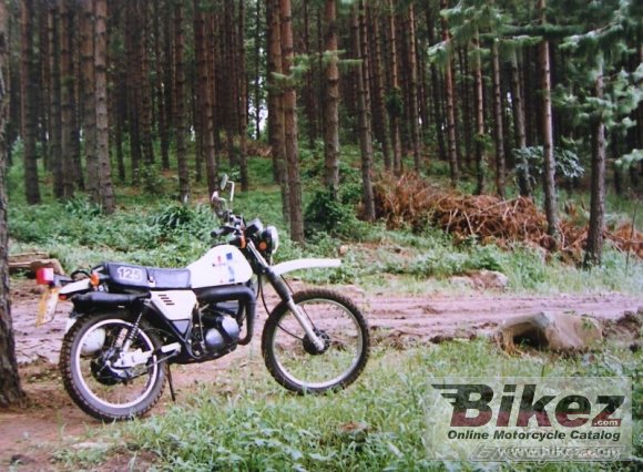 Kawasaki KE 125