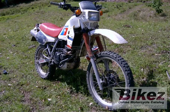 Kawasaki KLR 250