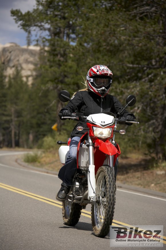 Kawasaki KLX 250 S