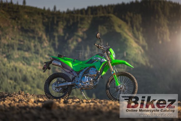 Kawasaki KLX300