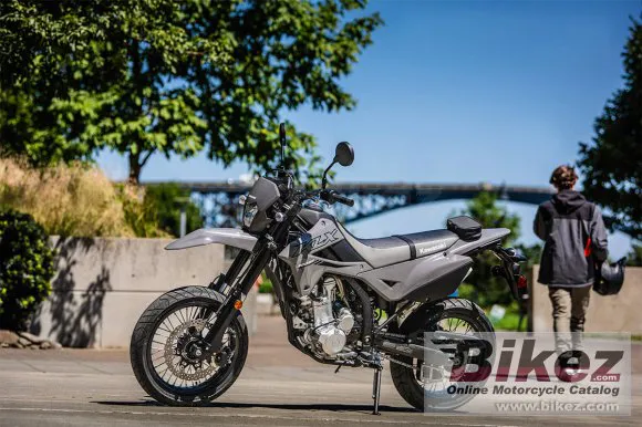 Kawasaki KLX300 SM