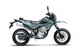 Kawasaki KLX300 SM