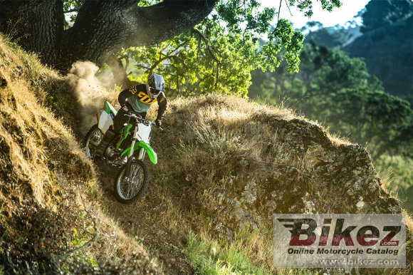 Kawasaki KLX300R