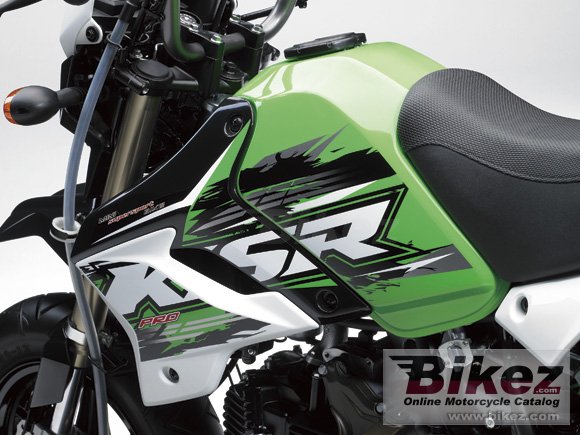 Kawasaki KSR Pro