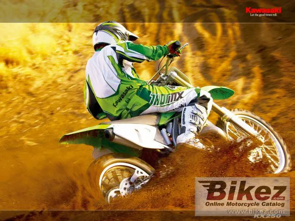 Kawasaki KX 100