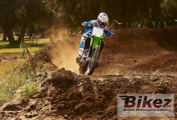 Kawasaki KX 450F