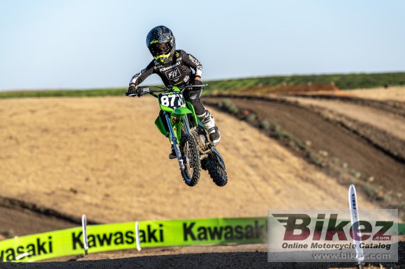 Kawasaki KX 65