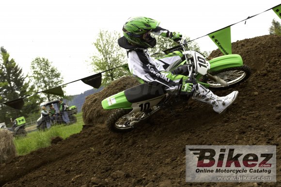 Kawasaki KX100