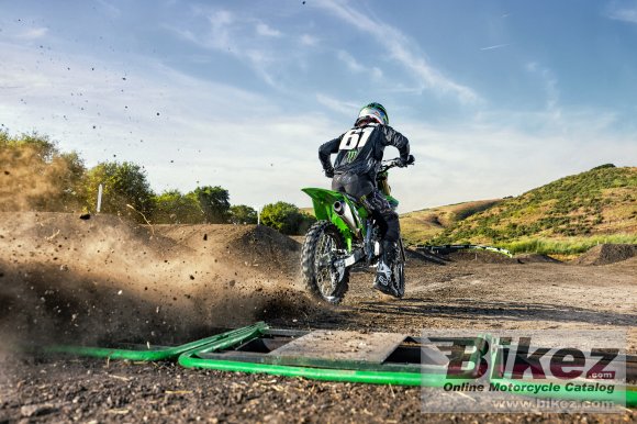 Kawasaki KX250