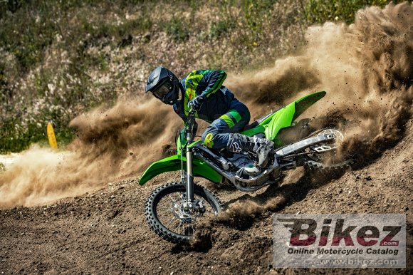 Kawasaki KX250