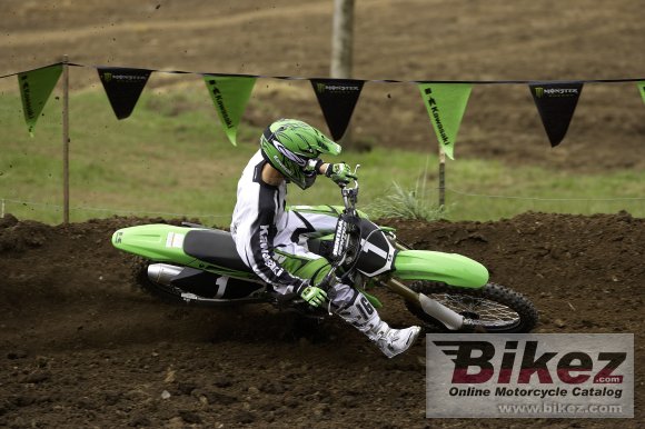 Kawasaki KX250F