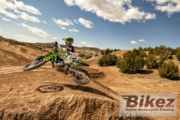 Kawasaki KX450